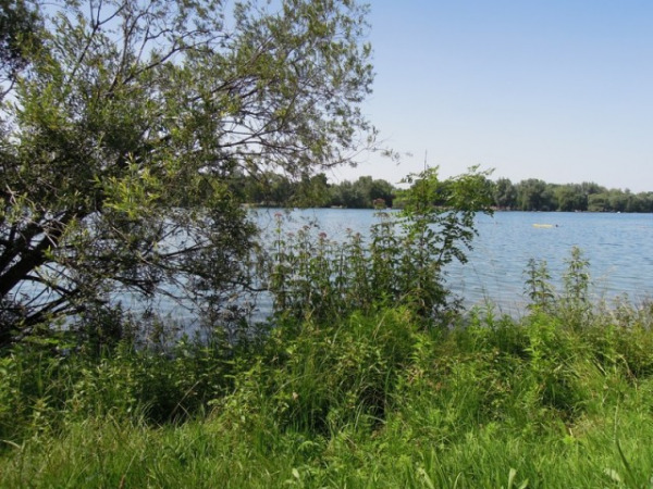 Feldmochinger See (Foto: muenchenblogger)