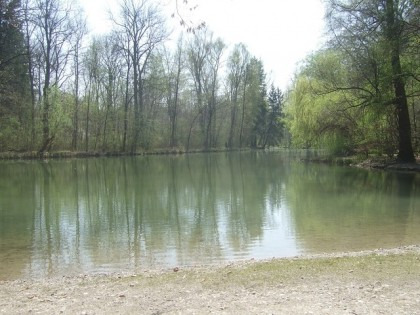 Der Schwammerlweiher (Foto: muenchenblogger)