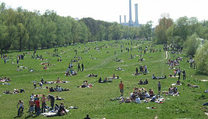 Sonne an der Isar
