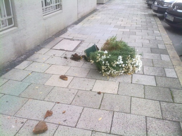 Gefahrenzone Schwabing Topfpflanzen im Anflug! Vorsicht auf Münchens Gehwegen! (Foto: muenchenblogger)