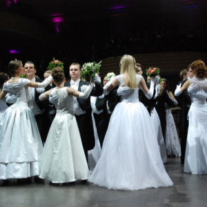 Chrysanthemenball 2009