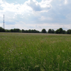 Pasinger Stadtpark