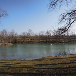 Poschinger Weiher