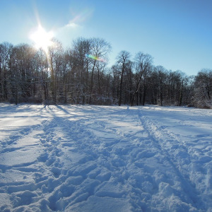 Winter im Englischen Garten