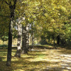 Luitpold-Park 113