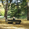 Luitpold-Park 114
