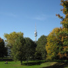 Luitpold-Park 125