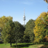 Luitpold-Park 126