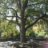 Luitpold-Park 142