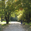 Luitpold-Park 175