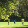 Luitpold-Park 182