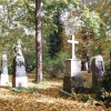 PB010039