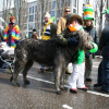 St_Patricks_Day_Parade_041