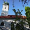 Bogenhausener-friedhof-10