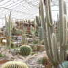 botanischer-garten-08.jpg