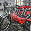 fruehling-2009-01