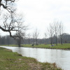 fruehling-2009-06