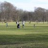 fruehling_in_muenchen_00