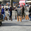fruehling_in_muenchen_02