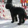 fruehling_in_muenchen_07