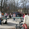 fruehling_in_muenchen_12