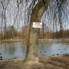 fruehling_in_muenchen_17