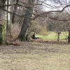 fruehling_in_muenchen_25