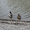 fruehling_in_muenchen_30