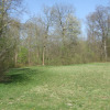 Hirschau-04