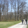 Hirschau-05