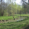 Hirschau-07