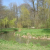 Hirschau-08