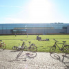 Novembersonne-01