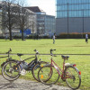 Novembersonne-02