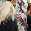 oktoberfest-2008-09 Zicke