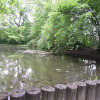Pasinger-stadtpark-02