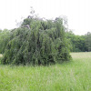Pasinger-stadtpark-04