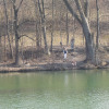 Poschinger-weiher-03