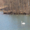 Poschinger-weiher-04