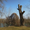 Poschinger-weiher-06