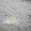 Puch-open-air-2012-08