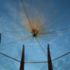 tollwood_festival_14