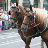 trachtenumzug-oktoberfest-2006-145