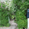 Vaeterchen-timofei-08