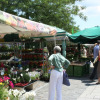 Viktualienmarkt-01