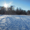 Winter im Englischen Garten