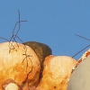 München im Detail (128)