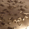 Tierparade
