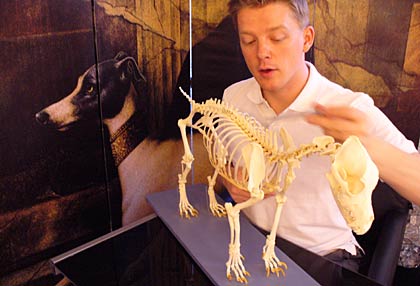 Ronny Zeller Hundephysiotherapeut