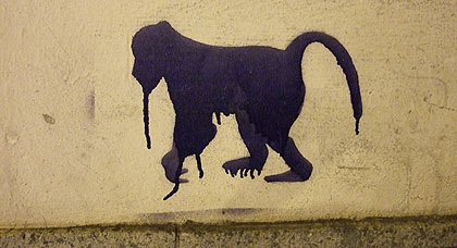 Affe Maxvorstadt